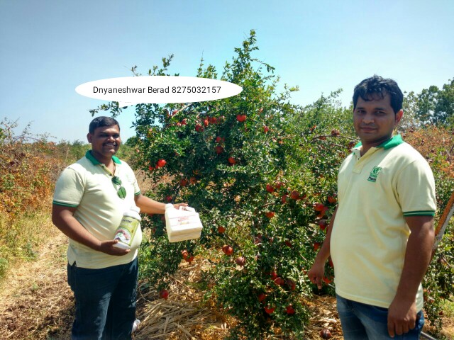 Green Planet Bio Products Nashik Mobile  shop Nashik